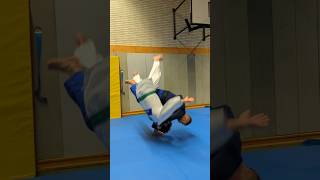 🕹️Throws in sync with steps judo judotraining judothrows ashiguruma seoinage koshiguruma bjj [upl. by Mcevoy]