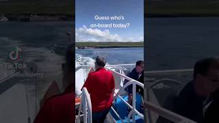 Gordon Ramsay Visits the Aran Islands with Doolin Ferry [upl. by Ashby]