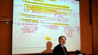 BIOLOGY CYTOLOGY PART 3 by Professor Fink [upl. by Kirkwood]