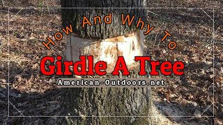 How And Why To Girdle A Tree Tree Girdling [upl. by Hammad]