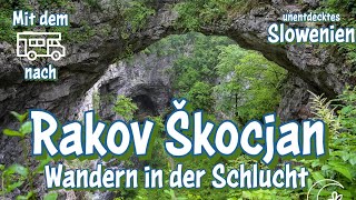 Die Schlucht von Rakov Škocjan  Wandern in einer eingestürzten Höhle  Slowenien mit dem Wohnmobil [upl. by Dodd]