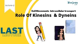 L2 Cell Movements Intracellular transport Role of Kinesins amp Dyneins MSc BSc CSIRNET zoology [upl. by Farlee]