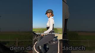 In weniger als 4 Wochen zur perfekten Haltung💪 pferdepflege pferde equestrianlife [upl. by Ellerad]