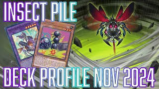 YUGIOH INSANE Insect Pile Deck Profile [upl. by Gabey444]