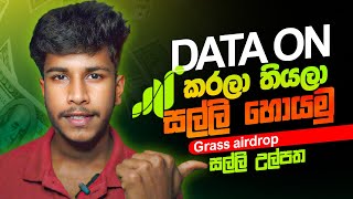 GRASS AIRDROP sinhala 2025  online money sinhala [upl. by Ahcas]