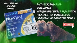 Nexgard Spectra for Dogs AntiTick and Flea Dewormer Broad Spectrum AntiParasitic [upl. by Oregolac]