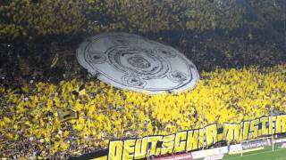 BVB Dortmund Gänsehaut im Westfalenstadion [upl. by Akcirre664]