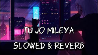 Tu Jo mileya SLOWED amp REVERB [upl. by Morena]