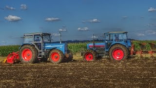 EICHER 3145 amp 3133 bei der Bodenbearbeitung 2016  Ackern und Kreiseleggen mit Eicher Power [upl. by Leeland]