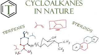 Cycloalkanes in Nature  Organic Chemistry Lessons [upl. by Alyssa]