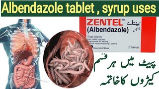 zentel tablet use in urdu  Albendazole tablets uses [upl. by Lhary]