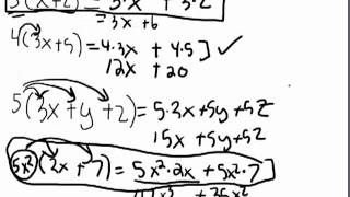 Distributive Property of Multiplication [upl. by Hyde]