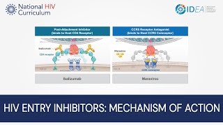 MiniLecture Series HIV Entry Inhibitors Mechanism of Action [upl. by Kary]