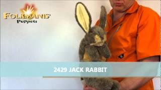 2429 Folkmanis Jack Rabbit [upl. by Alberto]