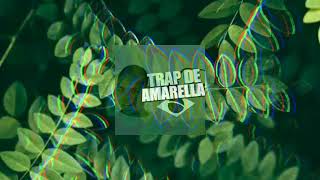 🎶Amadela Amadela DJ TRAP REMIX DE AMARELA TIKTOK Romyomy Remix [upl. by Nahij]