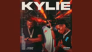 Kylie feat Hash Produções [upl. by Aivyls871]