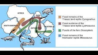 Biogeography [upl. by Ilam16]