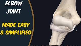 Elbow Joint Anatomy [upl. by Darlene]