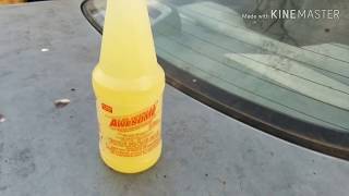 How To Clean Mold and Tree Sap off A Car The Fast Easy Way [upl. by Acinoreb4]