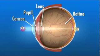 How the Eye Works [upl. by Pournaras364]