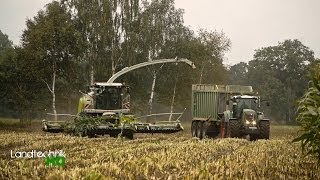 Lohnunternehmen Henke häckselt Mais für eine Biogasanlage in Niedersachsen HD [upl. by Selassie99]