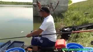 Feeder Fishing Cup Topolovat 2325052014 [upl. by Doralyn513]