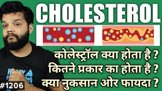 What Is Cholesterol In Hindi  HDL amp LDL Explained [upl. by Devine]