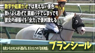 【ブランシール】結果や数字だけじゃない！そこには全力で彼女達に携わる「みんなの愛」が詰まってる【本馬場レースマーブルケーキブチコシロニイ】 [upl. by Ute900]