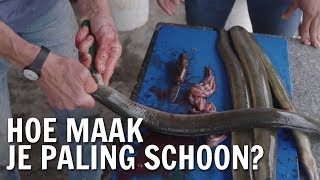 Hoe maak je paling schoon  De Buitendienst over Paling [upl. by Kiraa978]