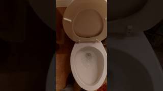 Professional Engineering Inspections  Modified Low Flush Toilet [upl. by Idnek]