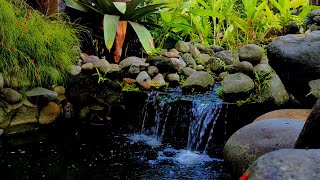 Soothing Relaxation Relaxing Piano Music amp Water Sounds for Sleep Spa Yoga amp Meditation Insomnia [upl. by Olram]