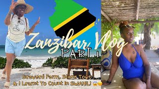 😍🏝️ ZANZIBAR VLOG pt1 ACCOMMODATION LEARN SWAHILI  SEAWEED FARM  STONE TOWN [upl. by Ymaj321]