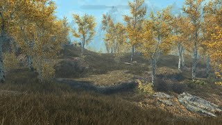 Skyrim  How To Learn ALL THREE Words of SOUL TEAR  4K [upl. by Vento]