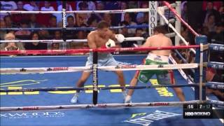 Golovkin 2013 Highlights  Rosado Ishida Macklin Stevens [upl. by Rdnaskela686]