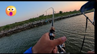 Tout Sheepshead Redfish Black Drum and more quotGalveston Bay boat fishingquot [upl. by Nam]