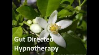 Gut Directed Hypnotherapy [upl. by Anya]