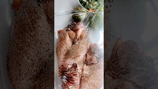 Lionfish for Dinner😃… jamaica fish lionfish viralshort viralvideo shorts food delicious [upl. by Alegnaoj]