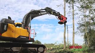 Cirkelzaag Bomengrijper  Groeneveldt Grijpers  Ufkes Greentec  Tree Felling [upl. by Zetrac]