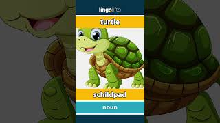 🇬🇧🇳🇱 turtle  schildpad  vocabulary builder  learn English  laten we Engels leren [upl. by Edras]