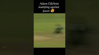 Adam Gilchrist fastest stumping on pacer [upl. by Shelli656]