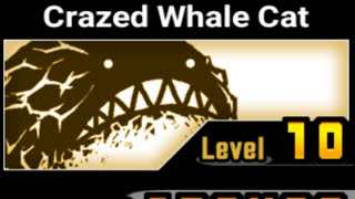 I got crazed fish upgraded to crazed whale in the vid [upl. by Lewis]