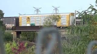 CN freight at Islington amp Steeles [upl. by Gudrin]