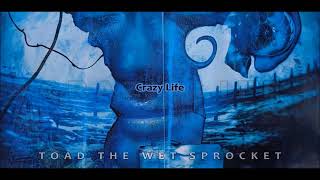 Toad The Wet Sprocket  Crazy Life  HQ    English Lyrics [upl. by Eemak]