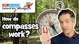 How does a compass work  General KnOWLedge [upl. by Joette]