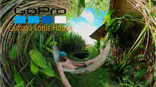 Camaya  The Lotus House [upl. by Lemuela]