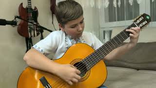 Vihula Myhajlo  Elegy performed by Alex Trusov classicalguitarists classicalmusic guitar [upl. by Naejeillib520]