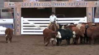 2013 NCHA Youth Cutting Todd Mulcahy amp EBs Phalaris [upl. by Teplitz43]