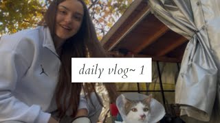 Daily vlog  1  mergem cu Grasu la veterinar [upl. by Innaig]