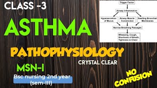 PATHOPHYSIOLOGY OF ASTHMA  Bsc nursing  semIII  MSN1 [upl. by Idalla]