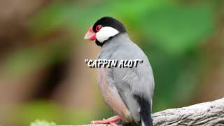 Energetic Lil Baby type beat 2023  quotCAPPIN ALOTquot  prod By DONKUE [upl. by Emmie]